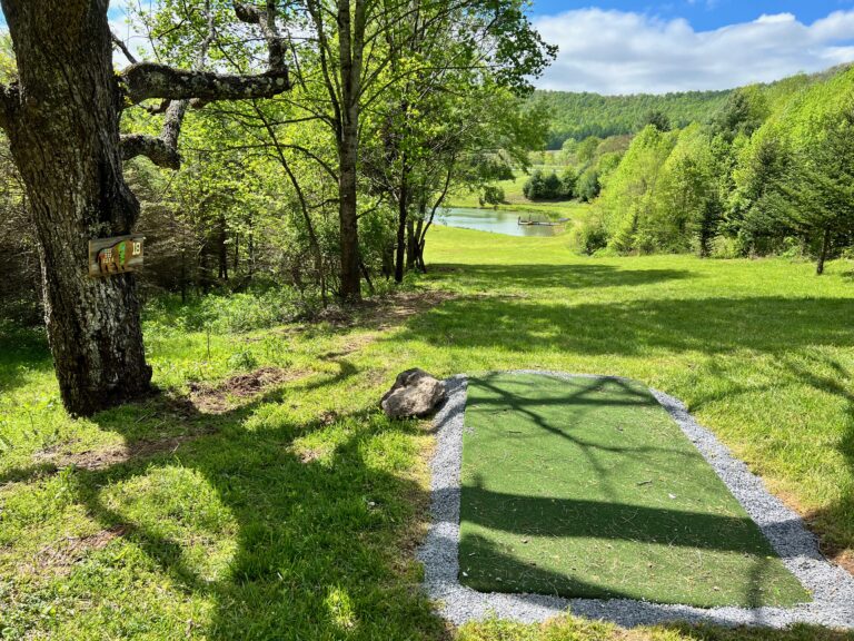 BUFFALO MOUNTAIN DISC GOLF